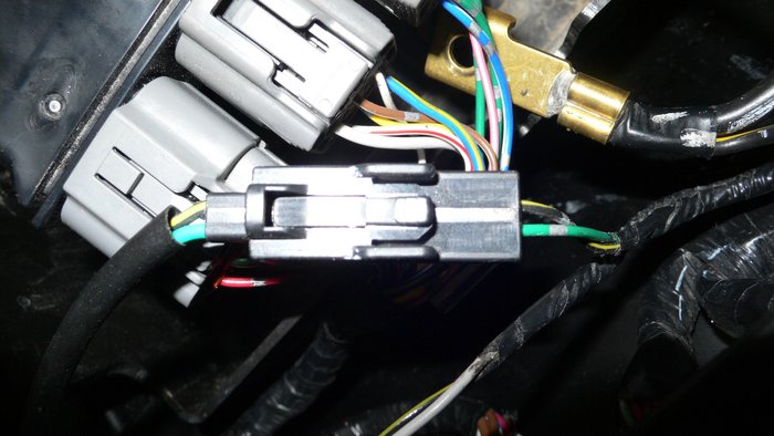 Blinkerstecker für hinten links (identisch mit links vorne)