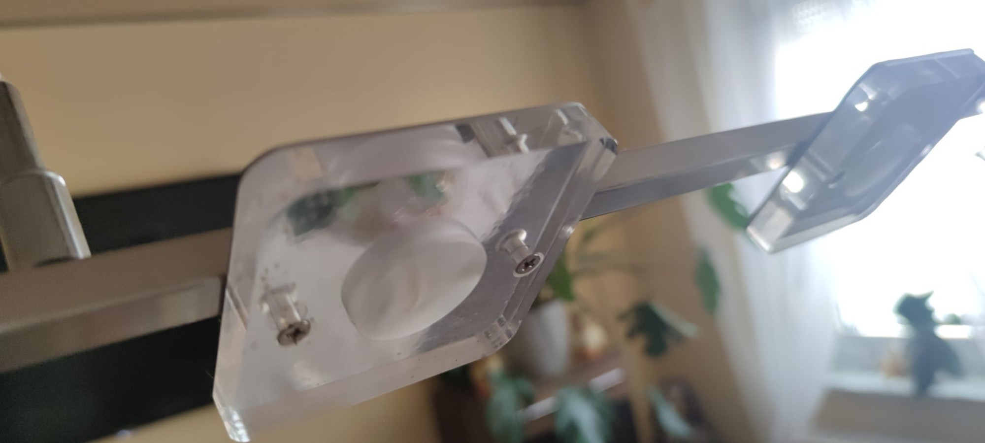 WhatsApp Image 2022-09-09 at 17.57.45.jpeg